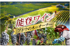 収穫体験にワイン５本も！能登ワイン ぶどうの木オーナー【令和8年 収穫体験】 