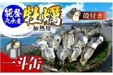 鮮度抜群！獲れたてをお届け！ 能登穴水の牡蠣(殻付)加熱用一斗缶