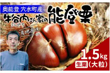 【先行予約】牛谷内農園の能登栗（大粒）1.5kg ～低温熟成させたあま～い能登栗～【2025年9月末より順次発送】/ 能登半島 奥能登 くり 生栗 マロン 和栗 焼き栗 栗ごはん 焼き栗 国産 果物