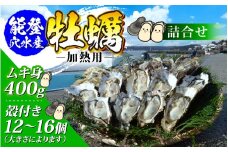 鮮度抜群！獲れたてをお届け！ 能登穴水の牡蠣(殻付・ムキ身)詰合せ
