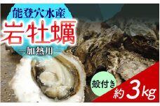 奥能登 河端水産の岩牡蠣（加熱用）約3kg ～鮮度抜群 とれたてをお届け～ /  魚介類 魚貝類 貝 海の幸 海のミルク オイスター 海鮮 国産 穴水町 奥能登 能登半島 旬 かき カキ