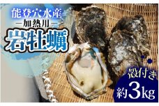 奥能登 松村水産の岩牡蠣 約3kg【殻付き・加熱用】 【2025年6月中旬より順次発送】/ 魚介類 海の幸 海のミルク オイスター 海鮮 国産 穴水町 奥能登 能登半島 大粒 旬 かき カキ