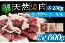 今話題のジビエ！奥能登穴水町産 天然 猪肉セット 600g 冷凍発送