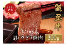 【和牛セレブ】能登牛 牛肩(うで) 焼肉 300g