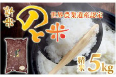 【先行予約】【新米】のと米 精米5kg × 1袋【2025年10月以降順次発送予定】