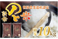 【先行予約】【新米】のと米 精米 10kg （5kg×2袋）【2025年10月以降順次発送予定】
