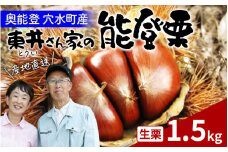 【先行予約】東井栗園の能登栗 1.5㎏ ～能登の大地で育った能登栗～【2025年9月下旬以降順次発送】/  能登半島 奥能登 くり 生栗 マロン 和栗 焼き栗 栗ごはん 焼き栗 国産 果物