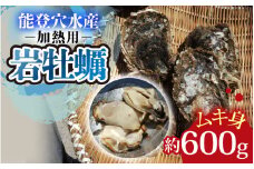 奥能登 松村水産の岩牡蠣 約600g前後【むき身・加熱用】【2025年6月中旬より順次発送】/ 魚介類 海の幸 海のミルク オイスター 海鮮 国産 穴水町 奥能登 能登半島 大粒 旬 かき カキ