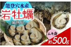 奥能登 河端水産の岩牡蠣【むき身・加熱用】約500g ～鮮度抜群 とれたてをお届け～ /  魚介類 魚貝類 貝 海の幸 海のミルク オイスター 海鮮 国産 穴水町 奥能登 能登半島 旬 かき カキ