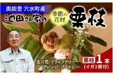 【先行予約】季節の花材 栗枝 1本（約35～38cm）【2025年9月下旬以降順次発送】/ 奥能登 能登半島 フラワーアレンジ ブーケ 花束 生け花 華道 花 お花 能登栗 栗 くり