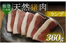 奥能登 穴水産 天然猪肉 ランプ 120g×3枚 計360g