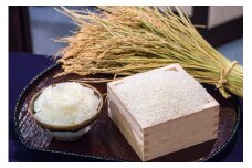福井のブランド米『令和6年産いちほまれ』5kg（寄付の使い道に「いちほまれ応援」を選択された県外在住の方のみ）