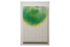 絵画「filter -pear－」－福田 裕理（寄付の使い道に「若手芸術家の育成を応援」を選択された県外在住の方のみ）