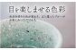 【参考】濡れると器の色が変わります。
※ 別の商品になります。
