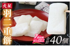 福井名物！元祖 羽二重餅40ヶ入 [A-017001]