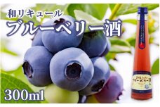 北の庄 蔵元造り 和リキュール「ブルーベリー酒」 [A-038005]
