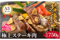 若狭牛A5ランク リブロース極上ステーキ肉 [E-037007]