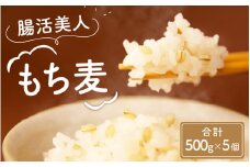 腸活美人 福井産六条大麦もち麦 5個セット [A-034003] / 健康 腸活 もち麦 植物繊維 もちもち 国産 大麦 雑穀 希少 500g 麦 むぎ ムギ 麦ご飯 麦ごはん 雑穀米
