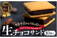 【山奥チョコレート 日和】 生チョコサンド 10個入 [A-026001] / 老舗 焼菓子 焼き菓子 洋菓子 デザート スイーツ クッキー カカオ 詰合せ 詰め合わせ チョコ チョコレート お菓子 菓子 クッキーサンド チョコ菓子 バレンタイン ホワイトデー