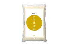 【令和6年産】福井が生んだブランド米「福井県産いちほまれ」5kg 1袋 精米 白米 [A-014002] / 米 こめ お米 コメ ごはん ご飯 飯 送料無料 5kg