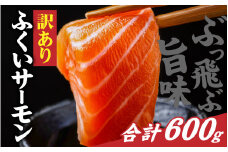 【訳あり】国産 ふくいサーモン 切り落とし（小分けパック）約600g [A-065060] / 訳アリ 鮭 刺身 切落し 切身 皮付き サーモン 小分け パック 刺し身 切り身 シャケ サケ 冷凍 弁当 フィレ ご当地 骨抜き 骨取り