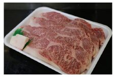 1208 若狭牛ロースすき焼き用（冷凍）500g 【 若狭牛 牛肉 肉 ブランド牛 ロース すき焼き 霜降り 冷凍 】[A-068001]