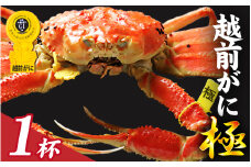 【先行予約】選べる！美味しさ直送【成前特選】越前がに 【極】 （1.3kg～1.5kg）１杯【11月～3月発送】 [W-028052] / 福井県 福井 オス 雄 ズワイガニ ボイル 冷蔵 越前ガニ 越前がに 越前カニ ずわいがに ずわい蟹 かに カニ 蟹 指定 茹で 甲羅盛り 甲羅盛 すがた 姿 チルド 越前蟹 ずわい ズワイ 茹で蟹 茹で むき身