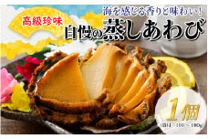 【美食】高級珍味 蒸しあわび 1個 [A-030004]