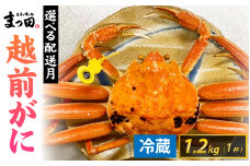 【先行予約】まっ田の越前がに 1.2kg×1杯【11月～3月配送】[L-007010] / 福井県 福井 オス 雄 ズワイガニ ボイル 冷蔵 越前ガニ 越前がに 越前カニ ずわいがに ずわい蟹 かに カニ 蟹 指定 茹で すがた 姿