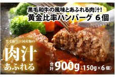 黄金比率ハンバーグ　6個セット  【ハンバーグ 和牛 牛肉 調理レシピ付き 肉のカワグチ 冷凍】 [A-015004] 