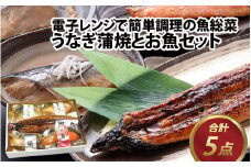 煮魚 焼魚 4種4切+うなぎ蒲焼1尾セット 【A-088004】/ たからや商店 越前宝や 鰻 ウナギ うなぎ 蒲焼 かば焼き 蒲焼き 国産 セット 詰め合わせ 詰合せ 鮭 サケ ブリ 鰤 ぶり かれいぶり 煮付 さば サバ 鯖 サバの味噌煮 鯖の味噌煮 さばの味噌煮 鯖味噌 味噌煮 ギフト 冷凍 簡単 手軽 パック 小分け レンジ 湯煎 湯せん レンチン 熨斗 のし 一尾 1尾