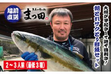 【先行予約】大将におまかせ！朝どれサクどり鮮魚2～3人前 【4月～10月発送】[A-007012]