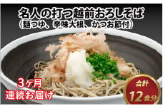 【3ヶ月連続お届け】名人の打つ越前おろしそば 4食入り（麺つゆ、辛味大根、かつお節付） [B-031004]【そば 蕎麦 生そば 定期便】