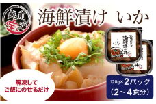 海鮮漬け イカ 120g×2パック（2～4食分）[A-088011] 