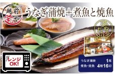 煮魚 焼魚 4種16切+うなぎ蒲焼1尾 セット [B-088010]