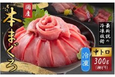 【最新鋭の冷凍技術 刺身用】本まぐろ 中トロ 300g（柵どり） [A-107006]