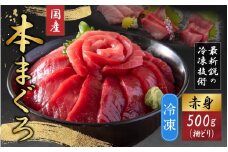 【最新鋭の冷凍技術 刺身用】本まぐろ 赤身 500g（柵どり）【マグロ 鮪 本マグロ お刺身 国産 冷凍配送】[A-107005]