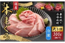 【最新鋭の冷凍技術 刺身用】本まぐろ 大トロ 300g（柵どり） [A-107008]