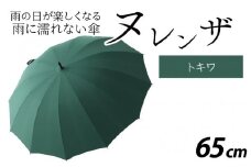 ヌレンザ 雨傘(親骨65㎝) トキワ  [L-035002_08]