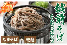越前そばふるさと詰合せ 合計6食 [A-120001]