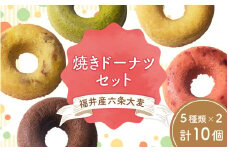 福井産六条大麦焼きドーナツセット（5種類×2 計10個） [A-034001]