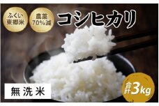 【先行予約】令和7年産 ふくい東郷米 特別栽培米 農薬70％減 コシヒカリ 3kg【無洗米】[A-020007_04]