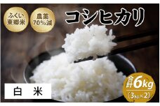 【先行予約】令和7年産 ふくい東郷米 特別栽培米 農薬70％減 コシヒカリ 3kg×2袋【白米】[A-020008_01]