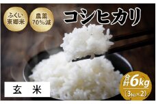 【先行予約】令和7年産 ふくい東郷米 特別栽培米 農薬70％減  コシヒカリ 3kg×2袋【玄米】[A-020008_02]