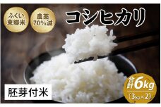 【先行予約】令和7年産 ふくい東郷米 特別栽培米 農薬70％減 コシヒカリ 3kg×2袋【胚芽付米】[A-020008_03]