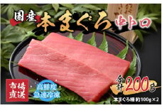 【市場直送】高鮮度急速冷凍 国産本まぐろ 中トロ 約100g（柵）×2 [A-065005]
