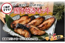 魚屋が作った 高級銀だら2切・からすがれい3切の照り焼きセット [A-065009]
