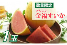 【先行予約】金福（きんぷく）すいか 1玉 【６月下旬ごろ発送予定】 / 2kg 小玉すいか 西瓜 スイカ 新品種 高糖度 みずみずしい 甘い 国産 福井県 福井市 送料無料 [A-022003]