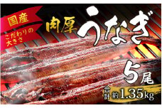 国産 活うなぎ蒲焼 約1.35kg (約270g×5尾) 【愛知県産 国産 無着色 鰻 ウナギ うなぎ】 [F-124006] 