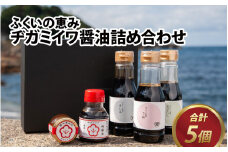 ふくいの恵み醤油詰め合わせ 5個セット 【甘口 天然醸造 調味料 しょうゆ 甘い 濃口 加工品】[A-126001]